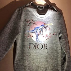 dior dinosaur sweater
